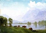 Albert Bierstadt Buffalo Country painting